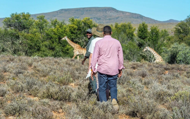 Mont Eco Game Reserve