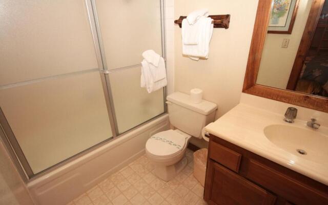 Mountainback #53, Loft