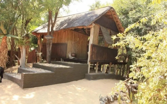 Offbeat Safaris