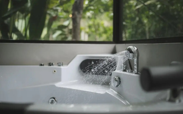 Eden Organic Farm & Bungalows
