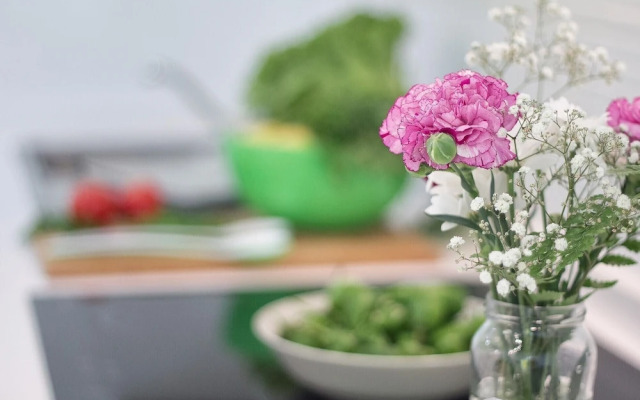 Stylish retreat in-between the ocean and mountains