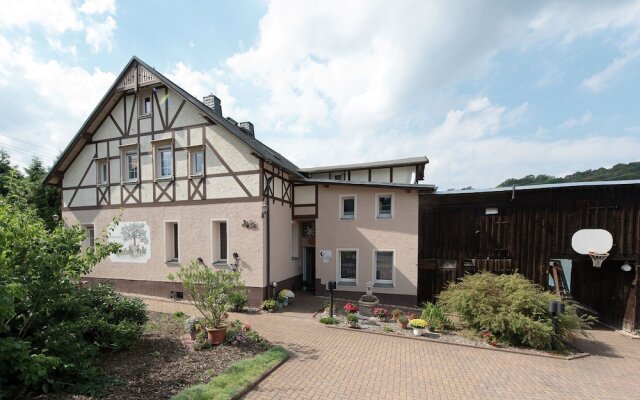 Modern Apartment inPohla Saxony near Ski Area