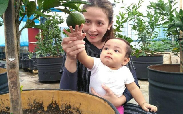 Grand Tjokro Premier Bandung