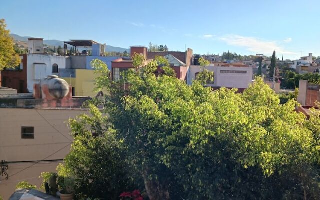 Posada Rosa Hotel SMA