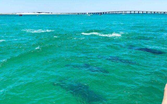 Misty Cove #116434 by RedAwning