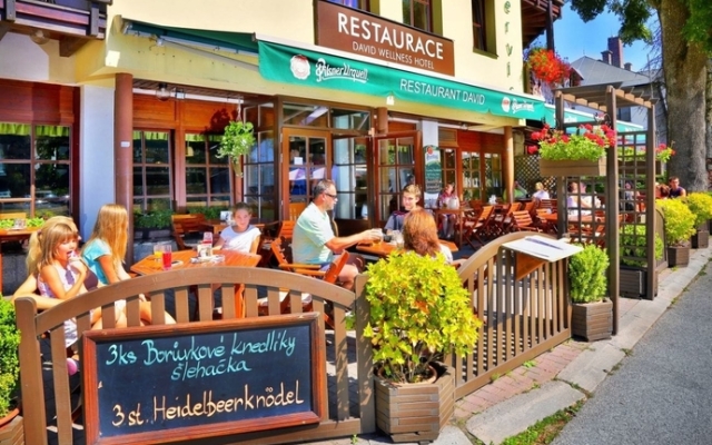 David wellness hotel Harrachov