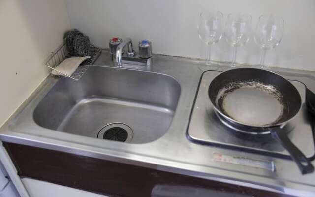 Exsaison Shirokita 507