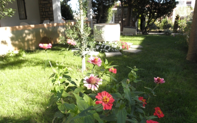Apartment Ivo - with nice garden: A3 Pag, Island Pag