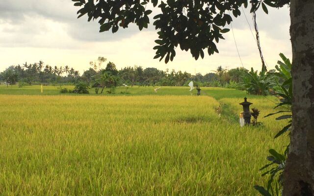 Collection O Ubud Near Central Ubud Formerly Hotel Suly