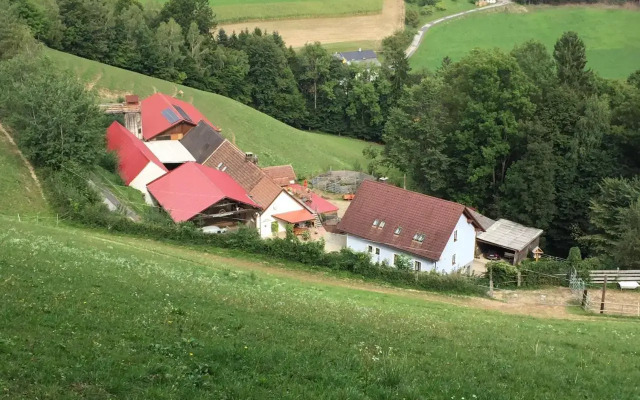 Haflingerhof Luef