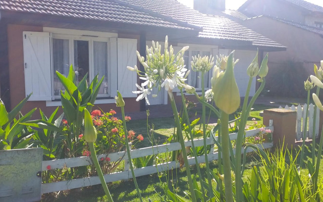 Descanso,verde,paz,playa