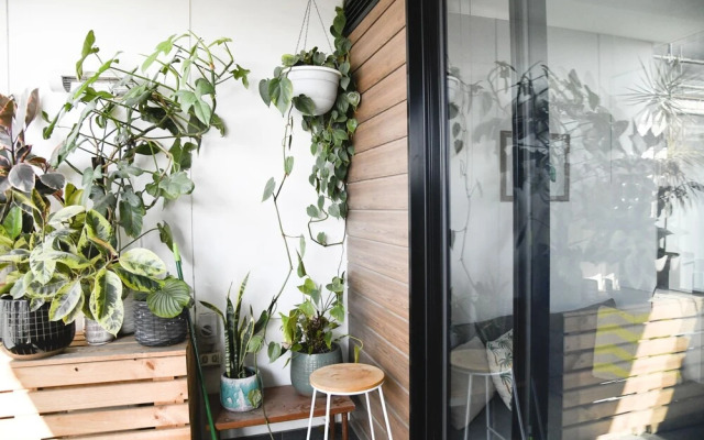 Cosy Apartment in Trendy Collingwood