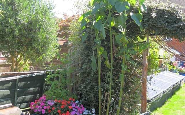Perfect for Petersfield B&B