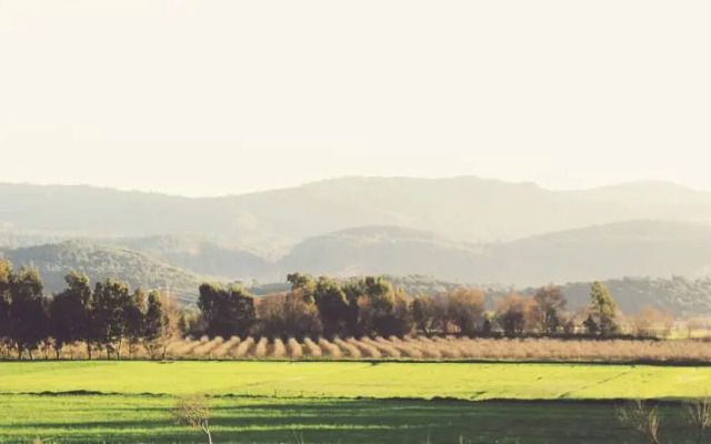 Pandispanya Butik Pansiyon