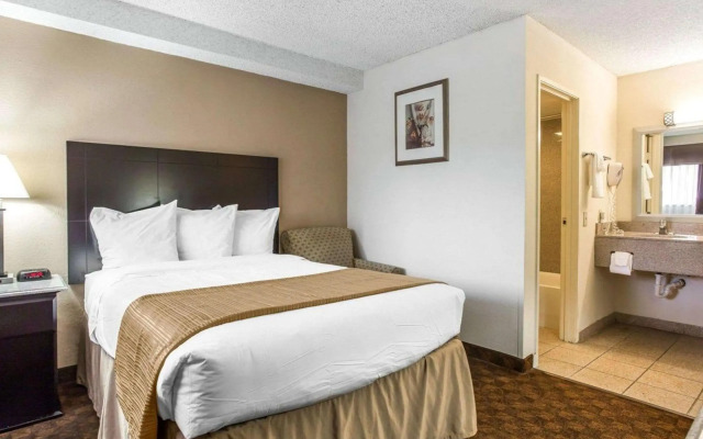 Quality Inn & Suites Coliseum