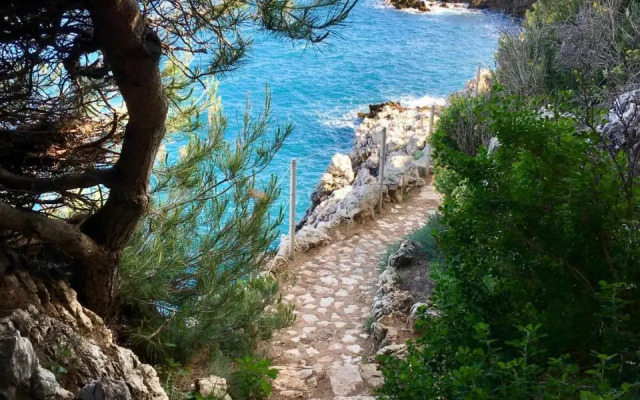Artistic Antibes Apartment
