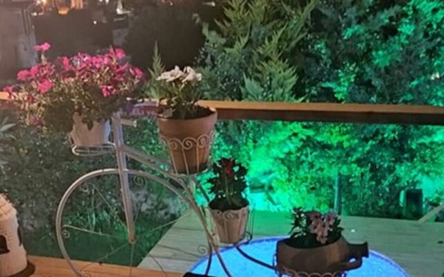 Rentavill Villaları