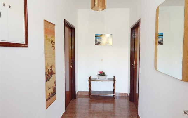 Apartments Rajko