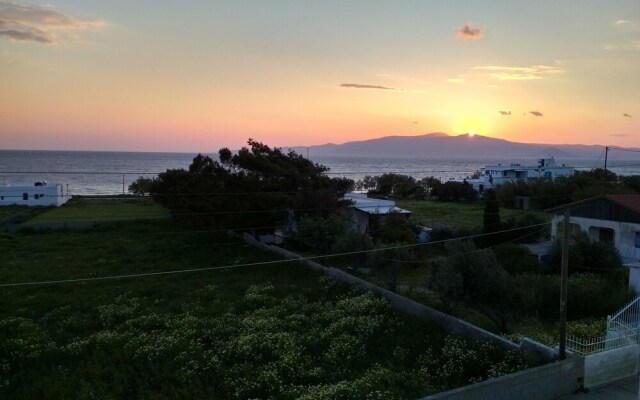 Naxos is the Way
