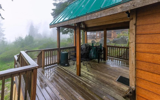 #45 The Cabins at Hyatt Lake-sleeps 4