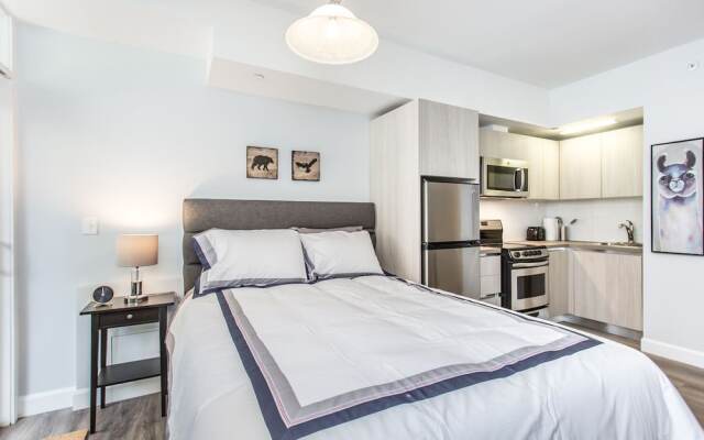 Luxury Apartment in Kensington Market