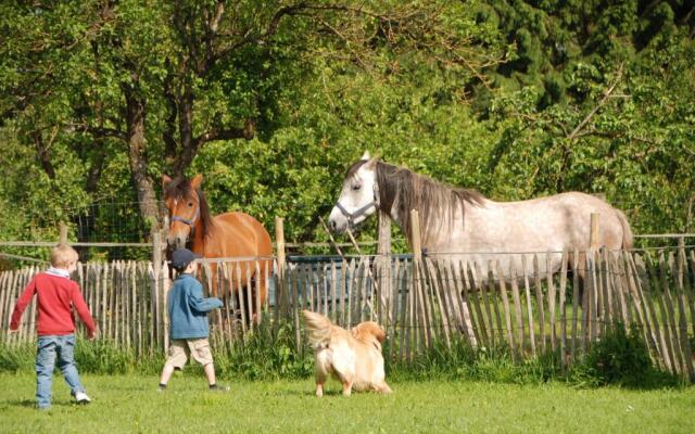 B&B Les Trois Voisins