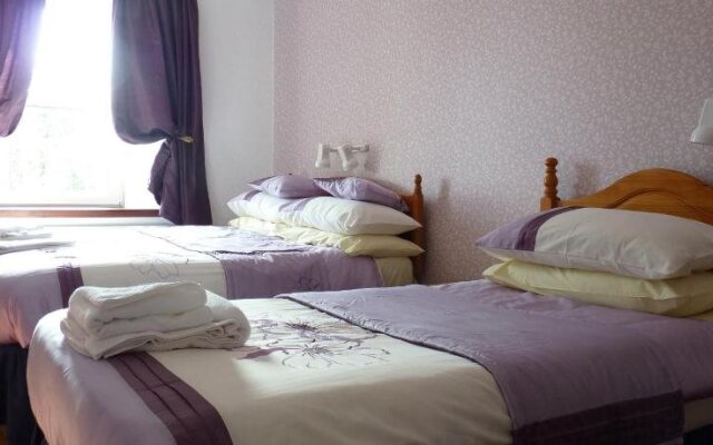 Brown Trout Hotel