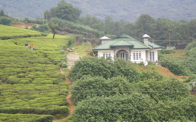 Royal Terrace Holiday Bungalow