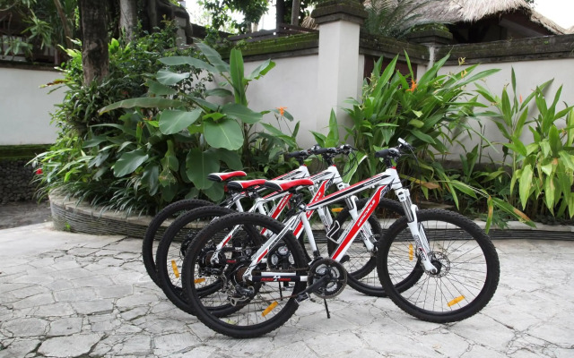 Tamu Seseh