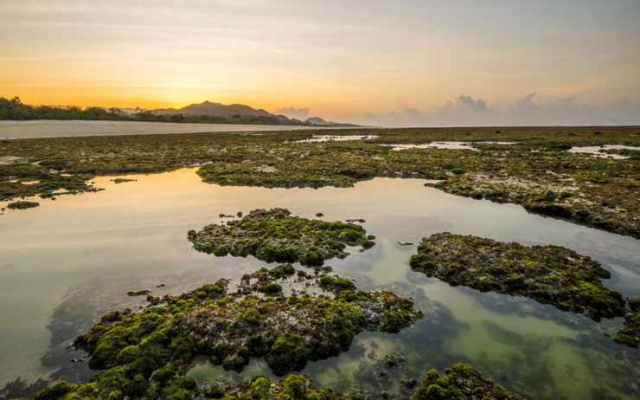 Tropical Beach Resort Sumbawa