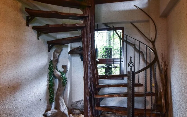 Tfg B&B