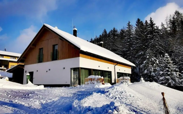 Beautiful Villa Near Cerny Dul Town