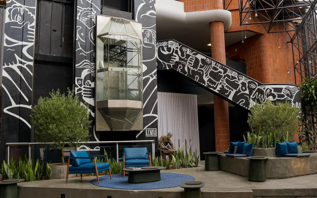 Swan Novo Hamburgo