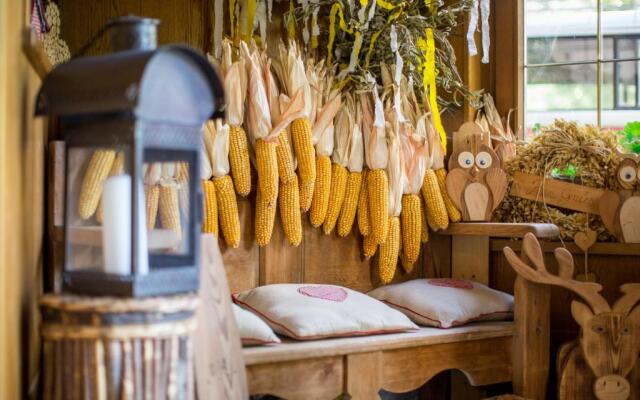 Hotel Al Plan Dolomites Museum