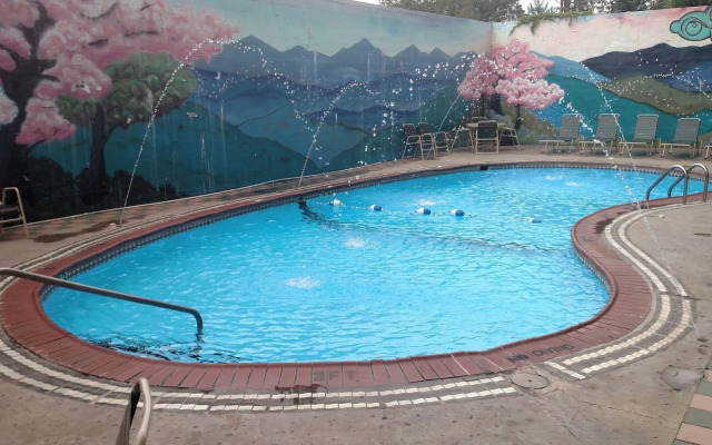 Downtown Inn and Suites