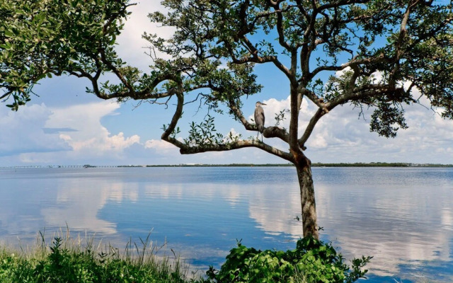 Runaway Bay Resort by BBG