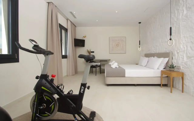 Pnoe Villas Syros