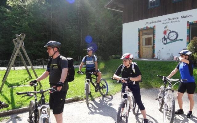 Wohlfühlgasthof Friedlwirt