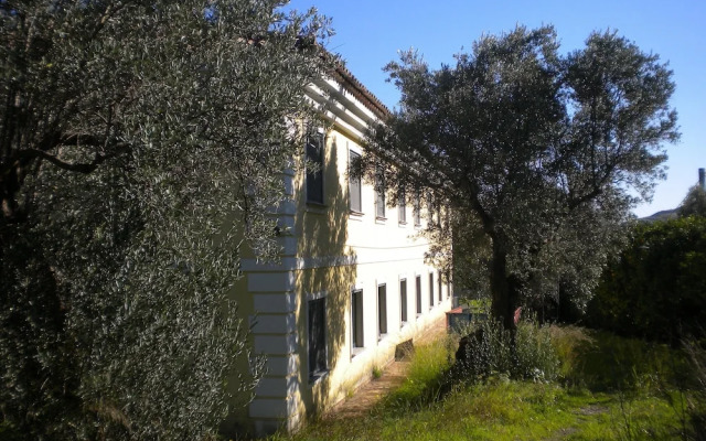 Tenuta Castellesi