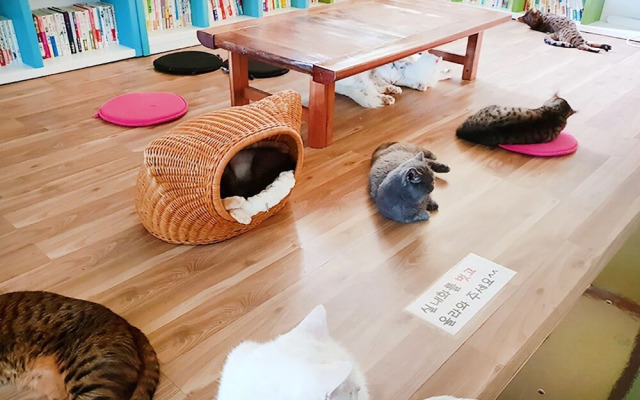 Gyeongju Pyeonggwanhun Guest House