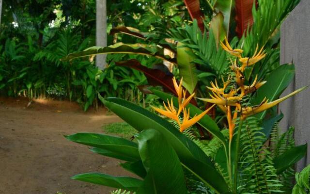 VIEW guesthouse & bistro at goyambokka