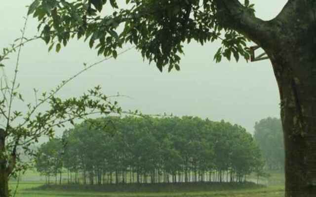 Moon Garden Homestay