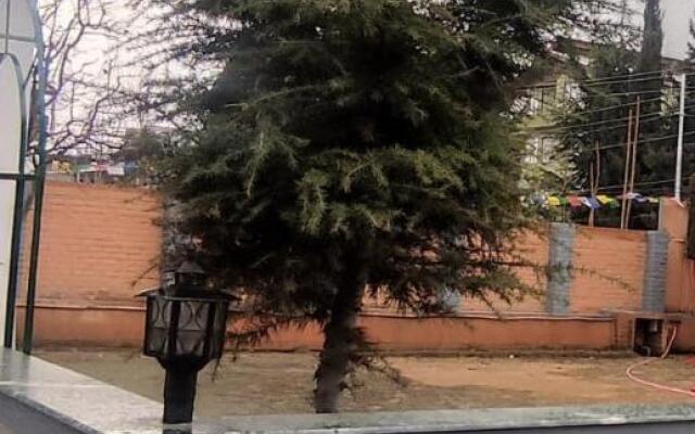 Hotel Silver Inn Srinagar