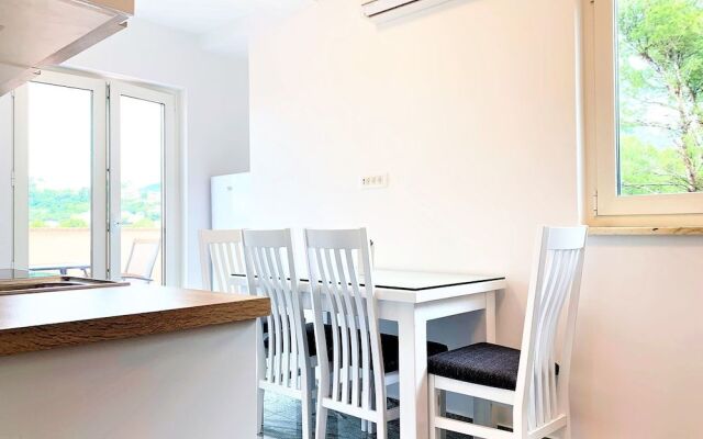 Apartments Milak