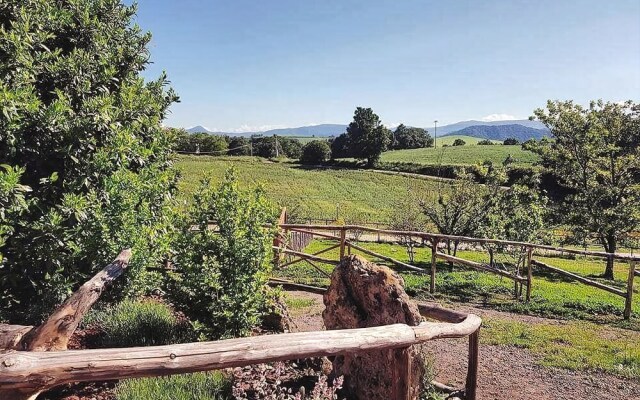 Agriturismo Il Riccio