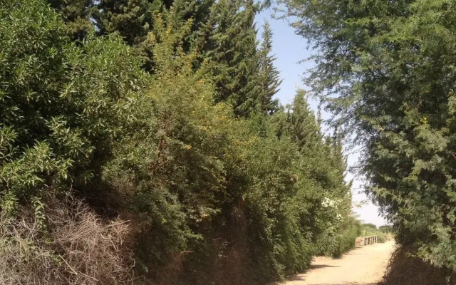 Le Jardin Tougana