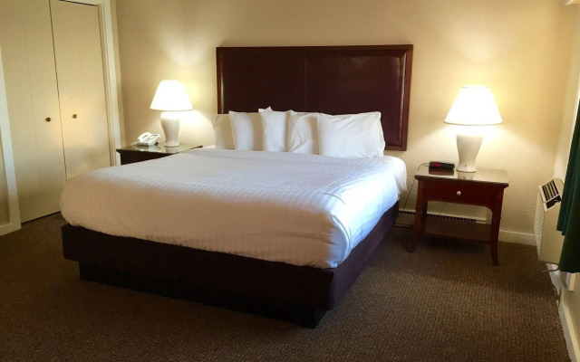 The Beach Haus Resort