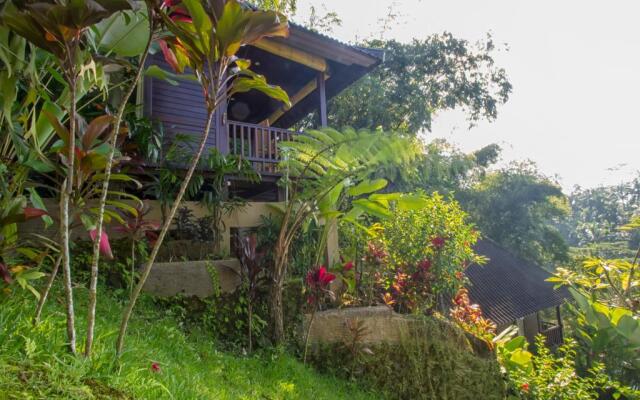 Wedang Villa