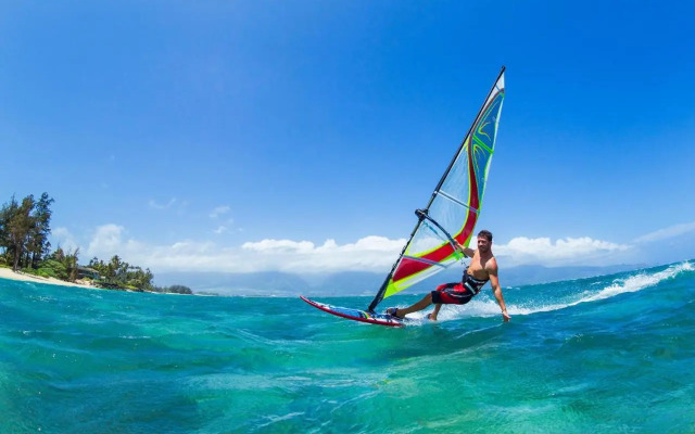 Kaleialoha 309