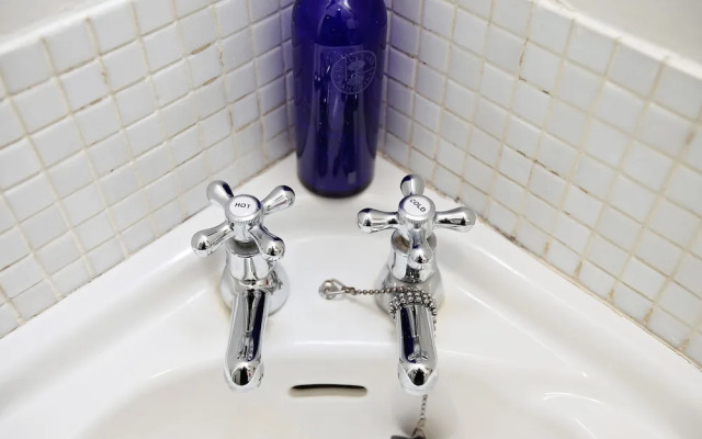 Bright Chic Garden Apartment